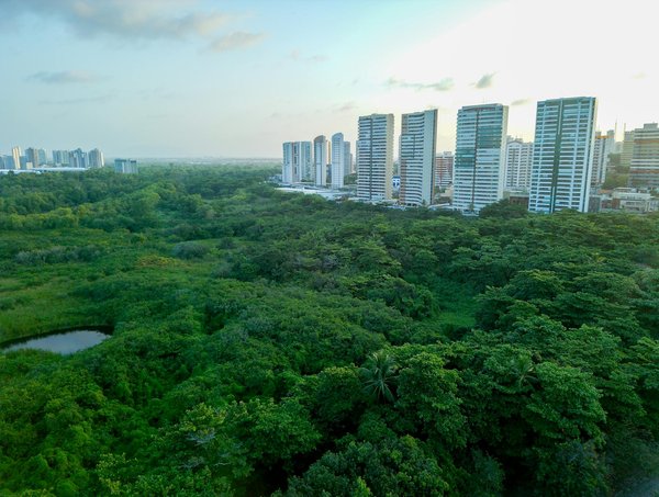 Explorez les meilleures offres de croisières en guadeloupe