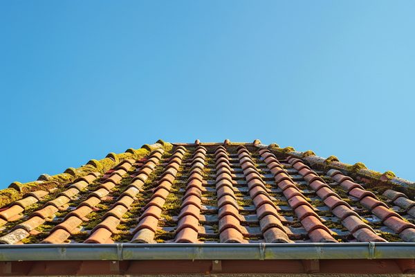 Protégez votre maison avec un démoussage de toiture efficace